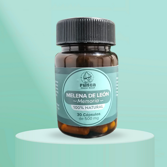 Melena de León – Claridad desde la raíz