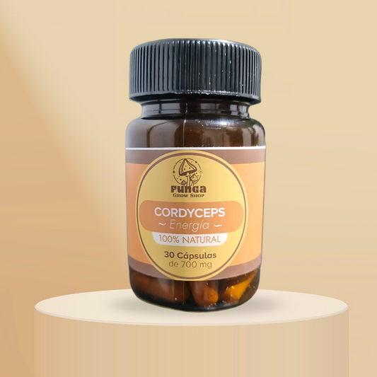 Cordyceps – Energía que fluye naturalmente