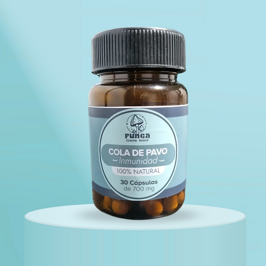 Cola de Pavo – Defensa natural desde el bosque