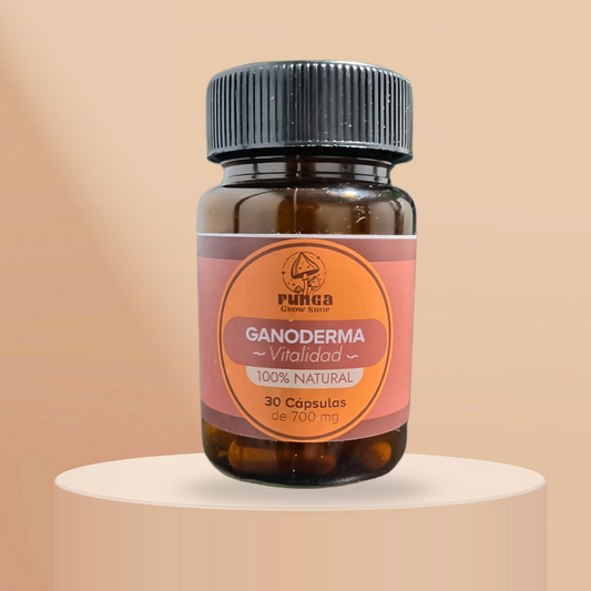 Ganoderma– Calma para el alma