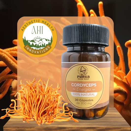 Cordyceps – Energía que fluye naturalmente