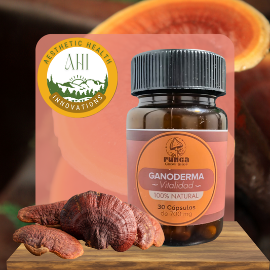 Ganoderma– Calma para el alma